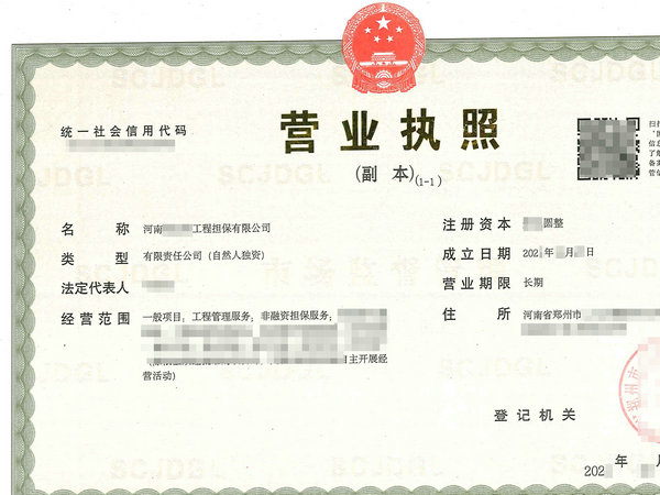 河南辦理工程擔(dān)保公司營(yíng)業(yè)執(zhí)照